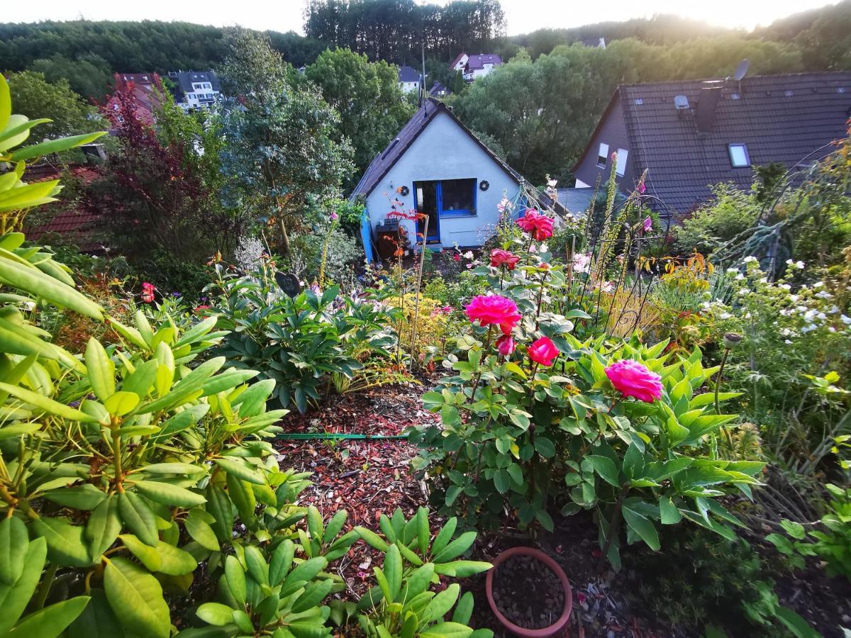 Ferienhaus Mit Riesen Garten, Drei Terrassen, Toller Aussicht Am Waldrand, Auch Als Monteur-Wohnung Hemer Ngoại thất bức ảnh