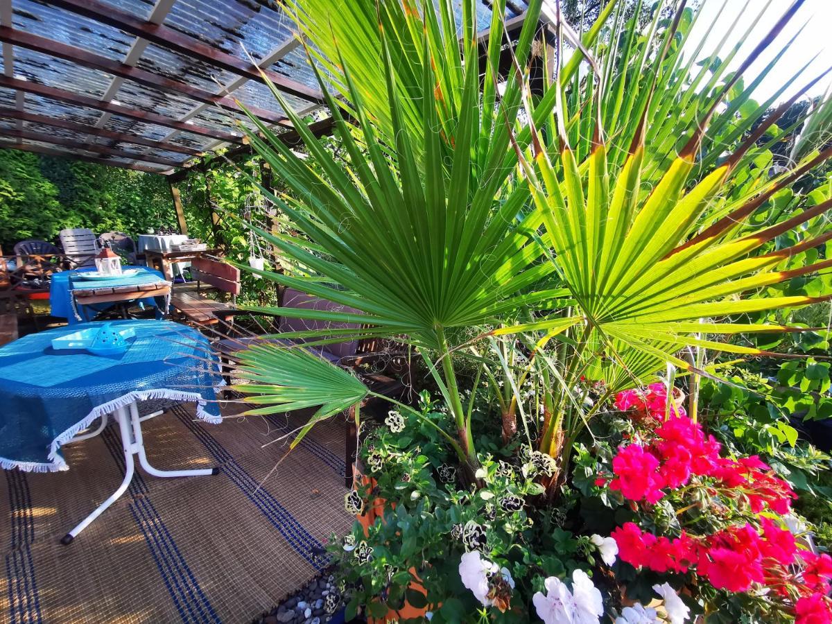 Ferienhaus Mit Riesen Garten, Drei Terrassen, Toller Aussicht Am Waldrand, Auch Als Monteur-Wohnung Hemer Ngoại thất bức ảnh
